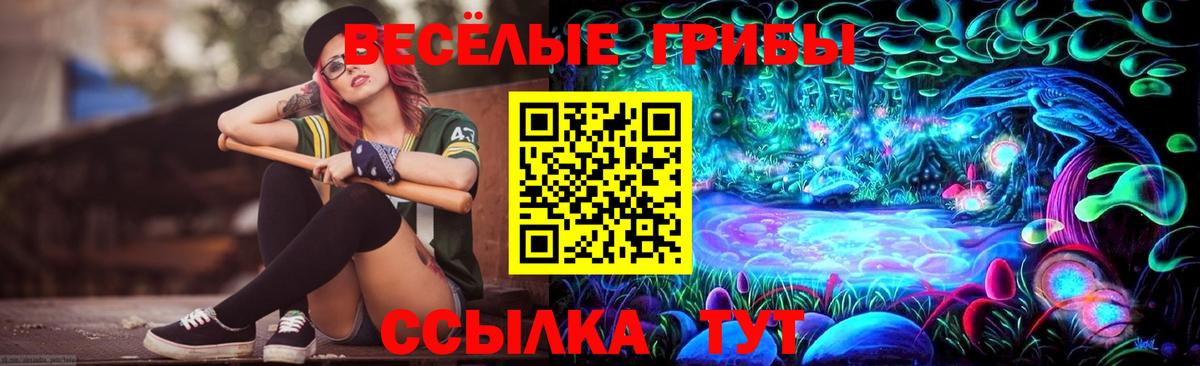 Галлюциногенные грибы MAGIC MUSHROOMS  Вход с VPN  Серов 