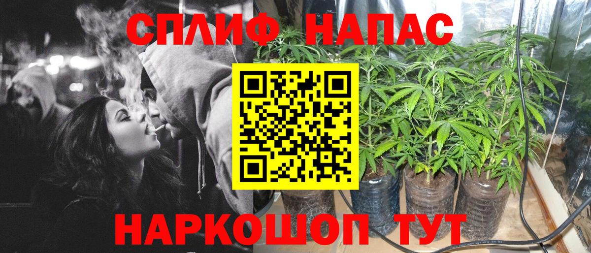 Бошки Шишки семена Серов